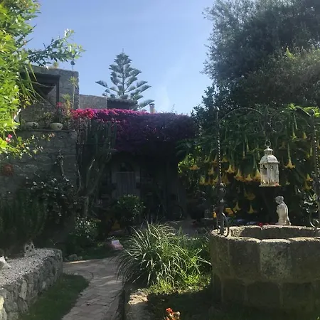 Casa Vacanze Il Pozzo * Ischia