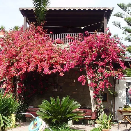 Casa Vacanze Il Pozzo Ischia