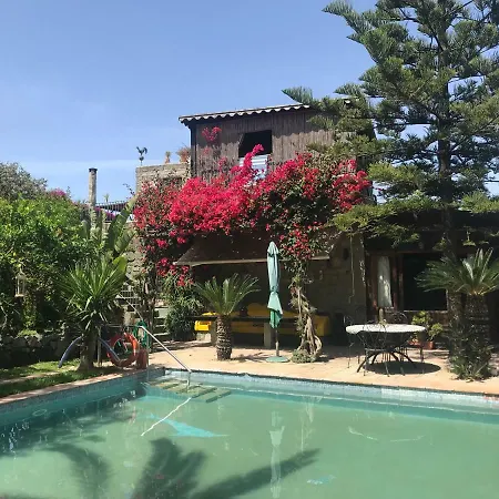 Casa Vacanze Il Pozzo * Ischia
